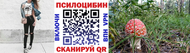 Купить закладки  Нижний Тагил  Галлюциногенные грибы ЛСД 